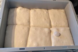 How does these look for neopolitan pizza? Is it overproofed?