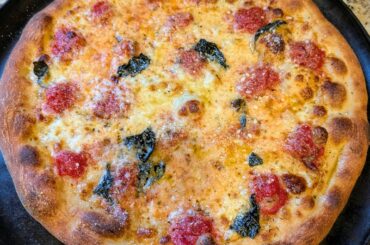 Dave's Pizza Oven 72hr dough recipe