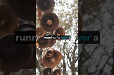 The Oldest Companies still Active #shorts