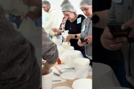 Buffalo Milk to Cheese: Inside an Italian Workshop