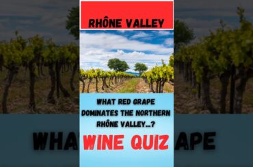 Wine Quiz Rhône Valley Question 2 #wine #quiz #rhône valley grapes