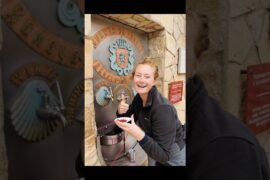 “No Water, Only Wine! 😳🍷”