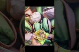 P’stacchio was really good, would you try it? #pistachioicecream #food #rome #italy #europe #travel