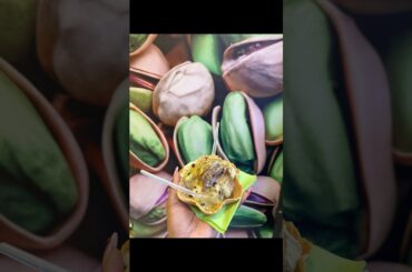 P’stacchio was really good, would you try it? #pistachioicecream #food #rome #italy #europe #travel