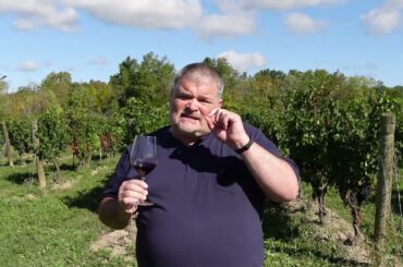 DELIGHTFUL Vinicola Arno 2021 Barbera D'Asti Superiore - Maria Augusta (Italy)