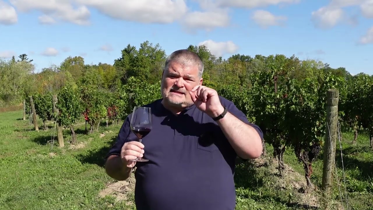 DELIGHTFUL Vinicola Arno 2021 Barbera D’Asti Superiore – Maria Augusta (Italy) DELIGHTFUL Vinicola Arno 2021 Barbera D'Asti Superiore - Maria Augusta (Italy)