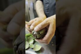 🎬 NOVITÀ IN ARRIVO DA PINNA ROSSA! 🔥