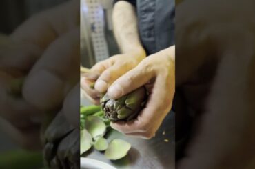 🎬 NOVITÀ IN ARRIVO DA PINNA ROSSA! 🔥