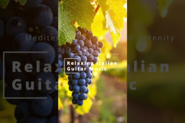 Escape to Italy with This Amazing Guitar Music!