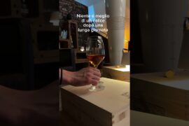 forse ne servirebbero anche più di due 🥲🥲🥲🥲🥲