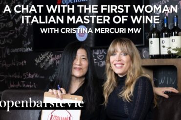 #OpenBarStevie with Cristina Mercuri