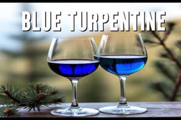 BLUE TURPENTINE - #toolatebrother  - an acoustic indie song with 70's soft rock vibes #newindie