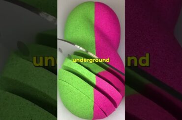 The most stolen food in the world is not what you think #facts #story #food  #foodfacts