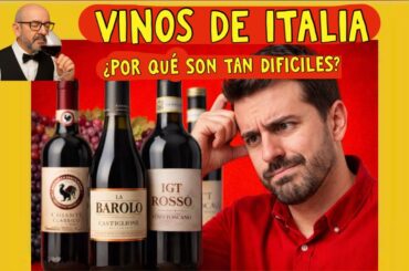 (487) VINOS DE ITALIA ¿PORQUÉ ES TAN DIFICIL?