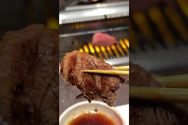 Wagyu Tenderloin vs Rump 🇯🇵 Osaka Yakiniku