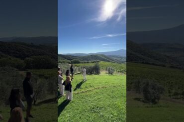 Brunello and Val d'Orcia wine tour from Florence