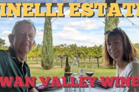 Hidden Gem in Swan Valley 🍇 | Visiting Pinelli Estate Winery! (Easy by public transport from Perth!)