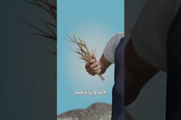 How This Restaurant Uses Volcano Heat To Cook 😮