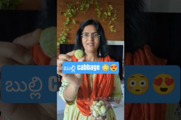చిన్న Cabbage తెలుసా 😍🥬| Brussels Sprouts | #ytshorts | #Cabbage | #Italy | Vijayas Harivillu