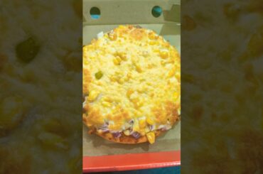 Aaj toh cheese corn pizza ka order aaya 🍕😃😃😃😃 #pizza #foodie #viral