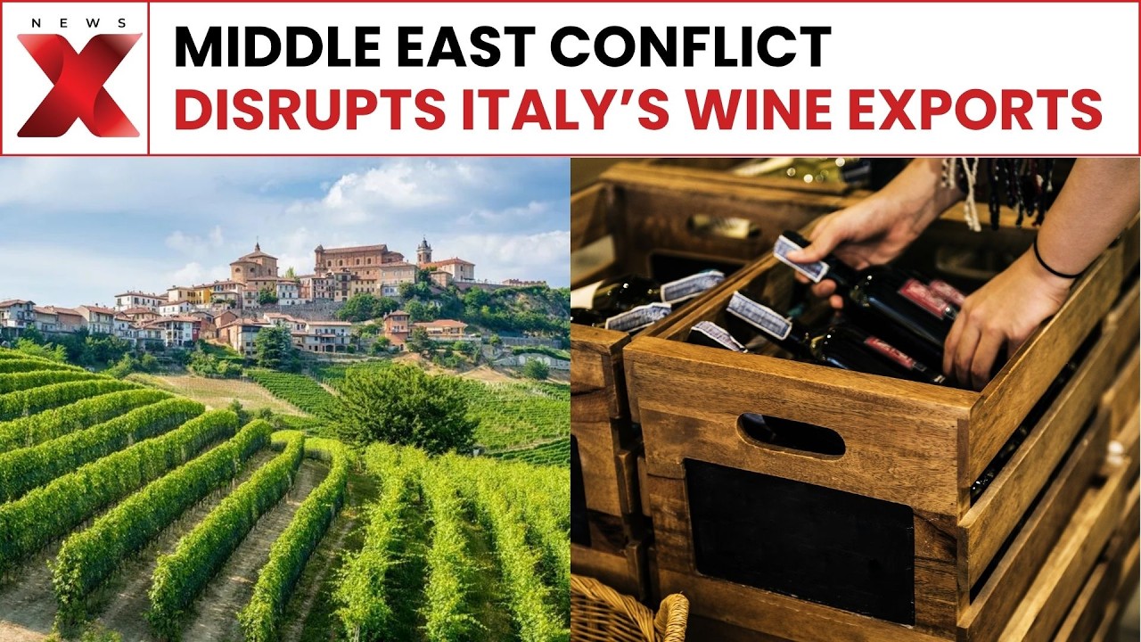 Middle East Conflict Hits Italian Wine Industry Exports And Production | NewsX Middle East Conflict Hits Italian Wine Industry Exports And Production | NewsX