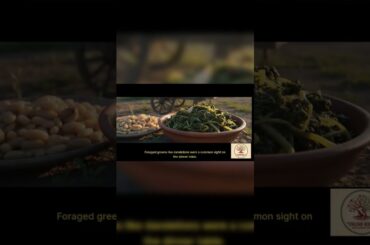 How Poor Italian Immigrants Ate Free on Urban Streets #survival #history