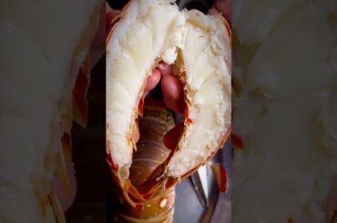 Lobster saffron risotto #cooking