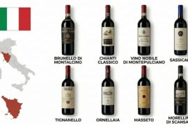 Every Italian Red Wine From Tuscany Explained