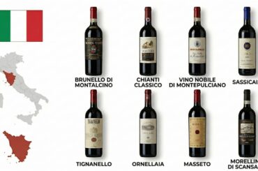 Every Italian Red Wine From Tuscany Explained
