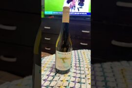 BOLLINI Italian Wine🍷