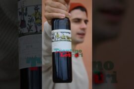 SWEET WINE TASTING 😋 #sweetwine #wine #italianwine #winetasting #winelover #tasting #wines