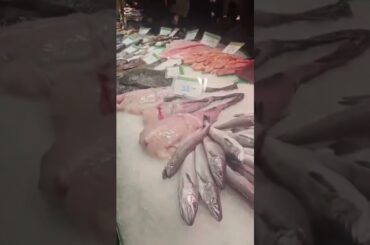 Fresh seafood overload 🤯🦞 #shorts #italy #food #sea #seafood #light