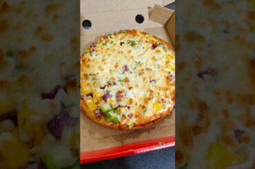 Aaj toh cheese pizza ka order aaya 🍕🍕🍕😃😃😃 #pizza #foodie #viral