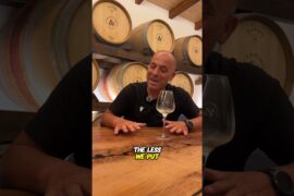 🍷 Pizza & Wine: A Piece of Abruzzo in Australia (Part 2) #PizzaAndWine #JasciMarchesani #VastoStyle