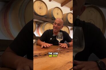 🍷 Pizza & Wine: A Piece of Abruzzo in Australia (Part 2) #PizzaAndWine #JasciMarchesani #VastoStyle