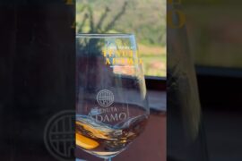 An Tuscan wine is not a wine is a wine. The climate, sun, and hills does something special!