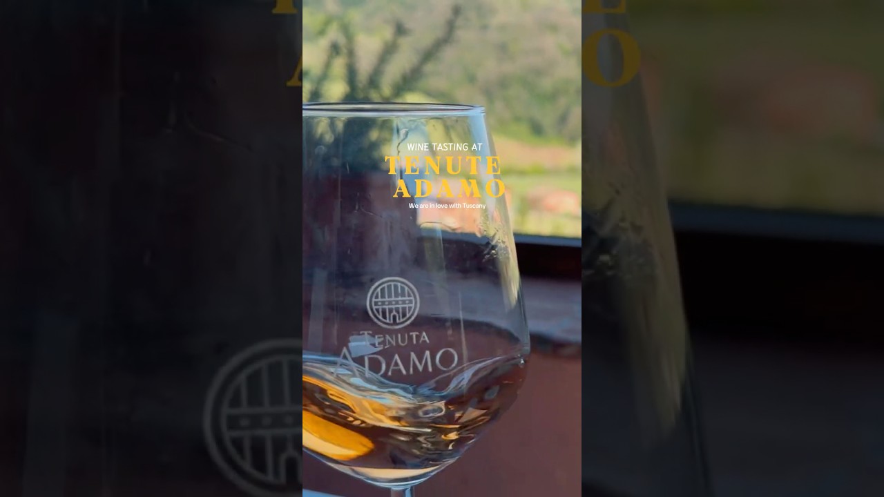 An Tuscan wine is not a wine is a wine. The climate, sun, and hills does something special! An Tuscan wine is not a wine is a wine. The climate, sun, and hills does something special!