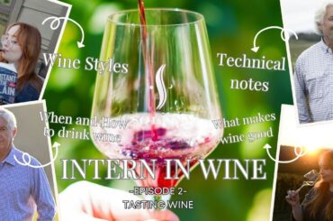 Intern In Wine Episode Two: Tasting Wine