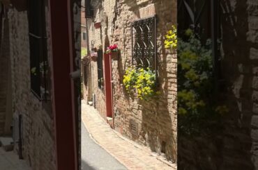 Seniors Walking Montepulciano, Italy