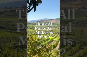 Portugal Makes Half the World's What? #portugal #surprising #shorts