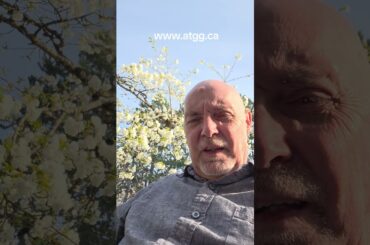 Cool stuff incoming! #travel #tourism #podcast #cruise #italy