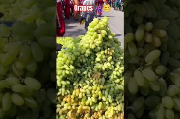 🍇#grapes #wine #winelover #vineyard #fruit #winetasting #vino #grape #winery #harvest #winelovers #🍇