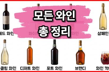17분에 끝내는 모든 와인 설명
