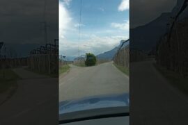 Wine Journey, Andriano, Bolzano, Italy