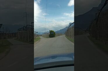 Wine Journey, Andriano, Bolzano, Italy