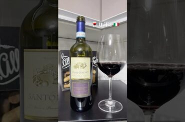🍷Santonino 🍇 Montepulciano 2022 - V/ V 12,5% Itália @famigliacastellani6178  #wine #italy #italia