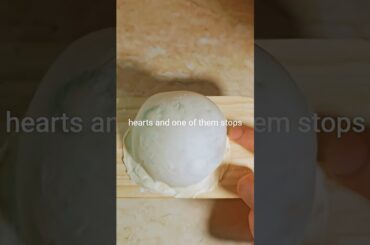 bubble pizza! If we hit 20,000 likes I'll build a new mini oven #pizza #oven @yumuken_gourmet_japan