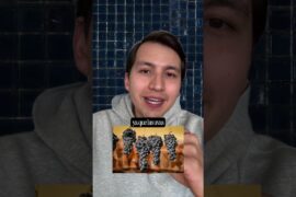 🍷 Amarone della Valpolicella: concentración antes de la fermentación