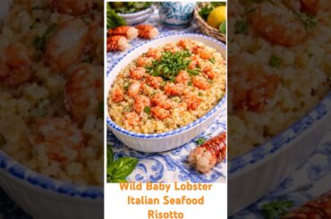 Italian Lobster Risotto di  Asticini Selvatici al Basilico/ Wild Baby Lobster Risotto with Basil