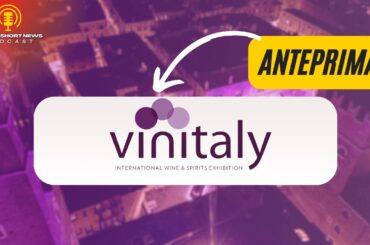 Vinitaly: il mondo del vino al completo | 4000 espositori in 18 padiglioni